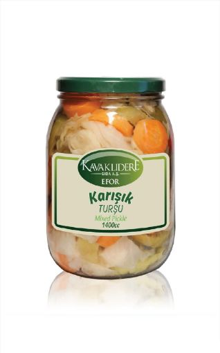 EFOR TÜRLÜ TURŞU 680 GR. ürün görseli