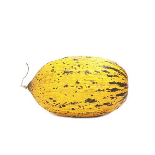 KAVUN KALLAVİ KG. ürün görseli
